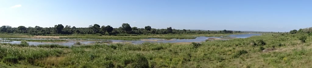 Panoramic View of Kruger
