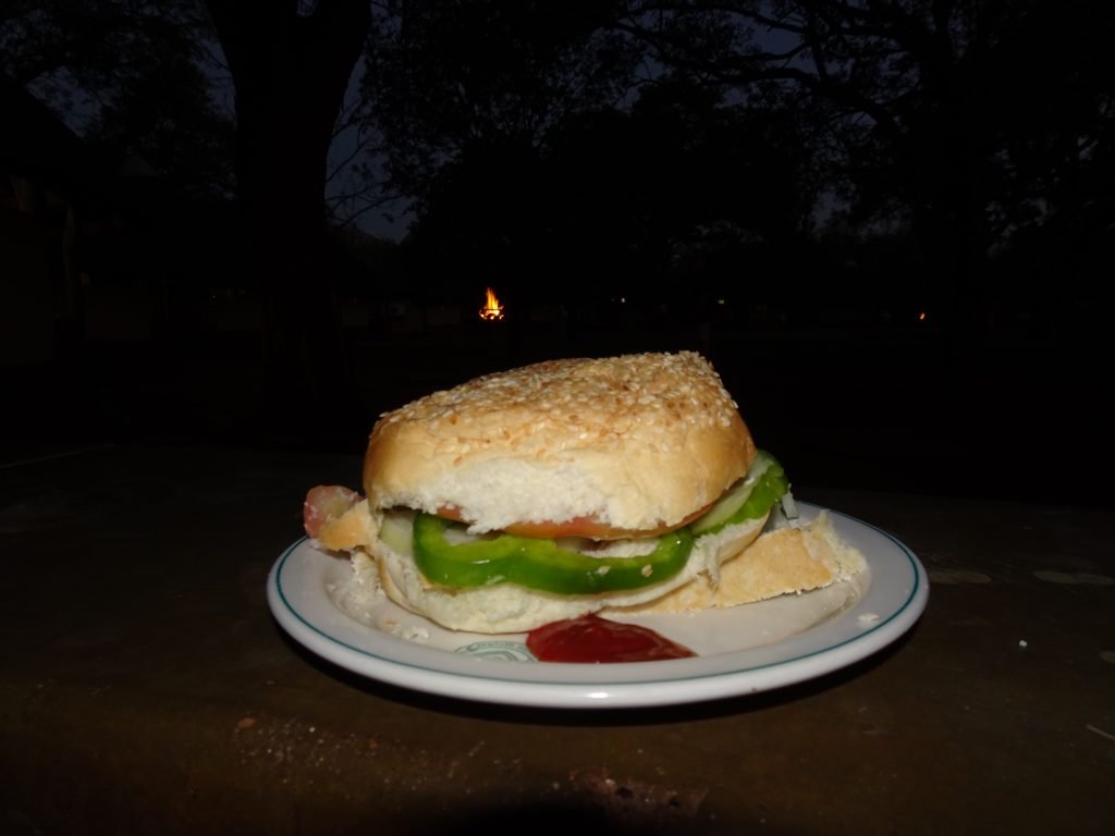 Sandwich at Satara