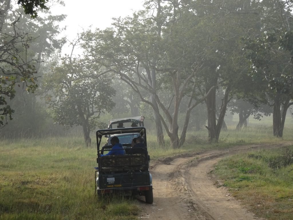 Safari in Bandipur