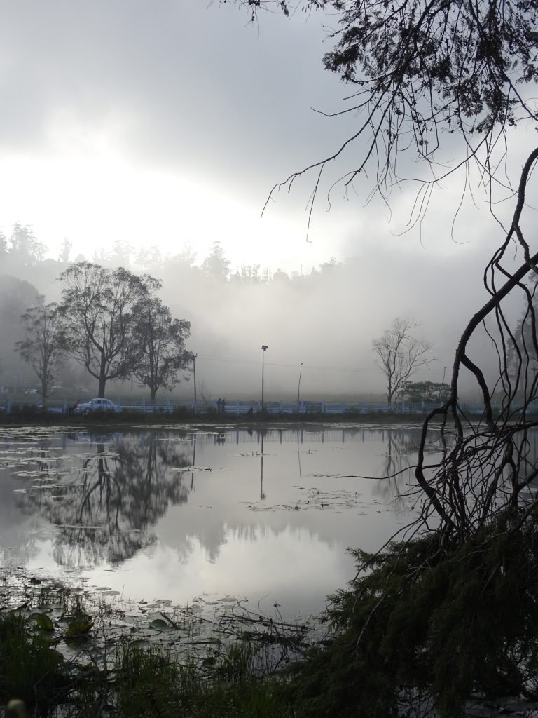 Kodaikanal Lake - Perfect reflection