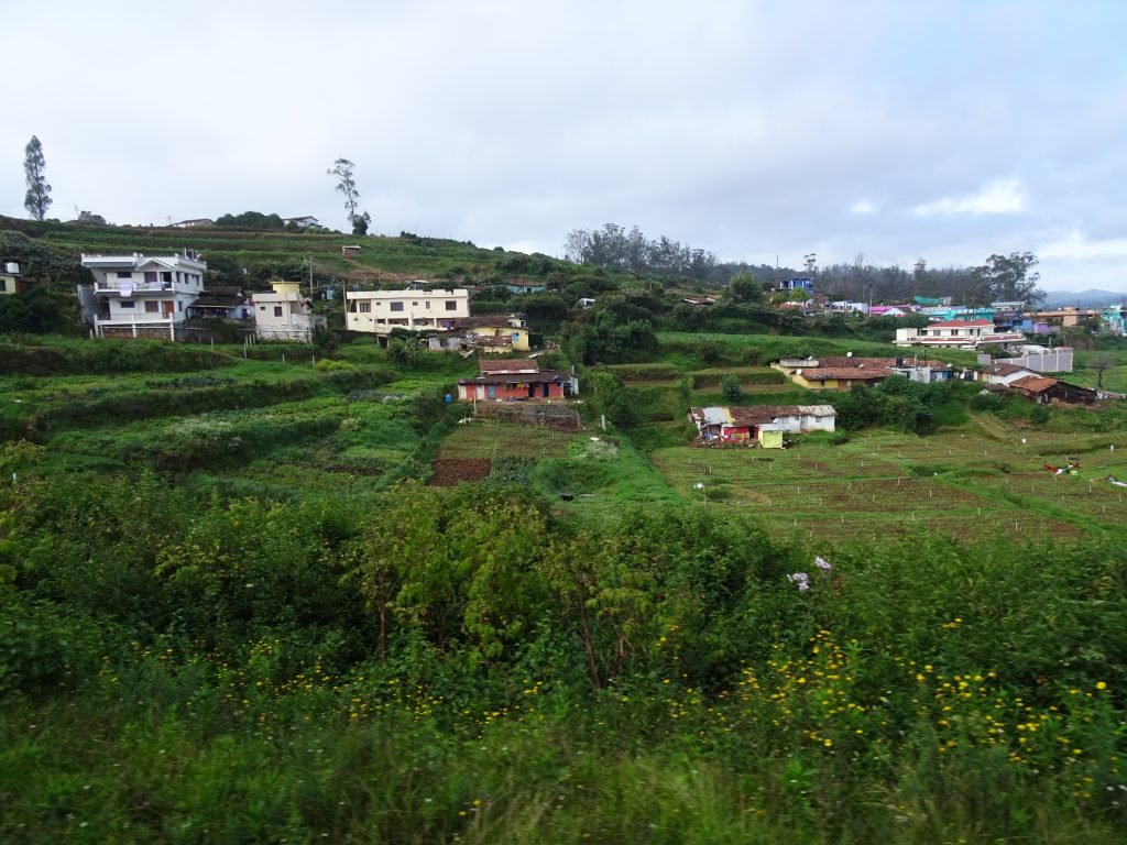 View from Toy Train in Ooty