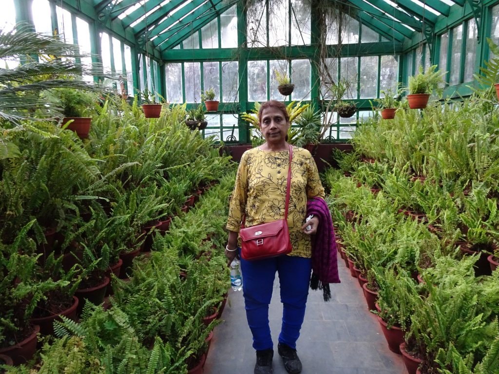 Green House in Botanical Garden, Ooty