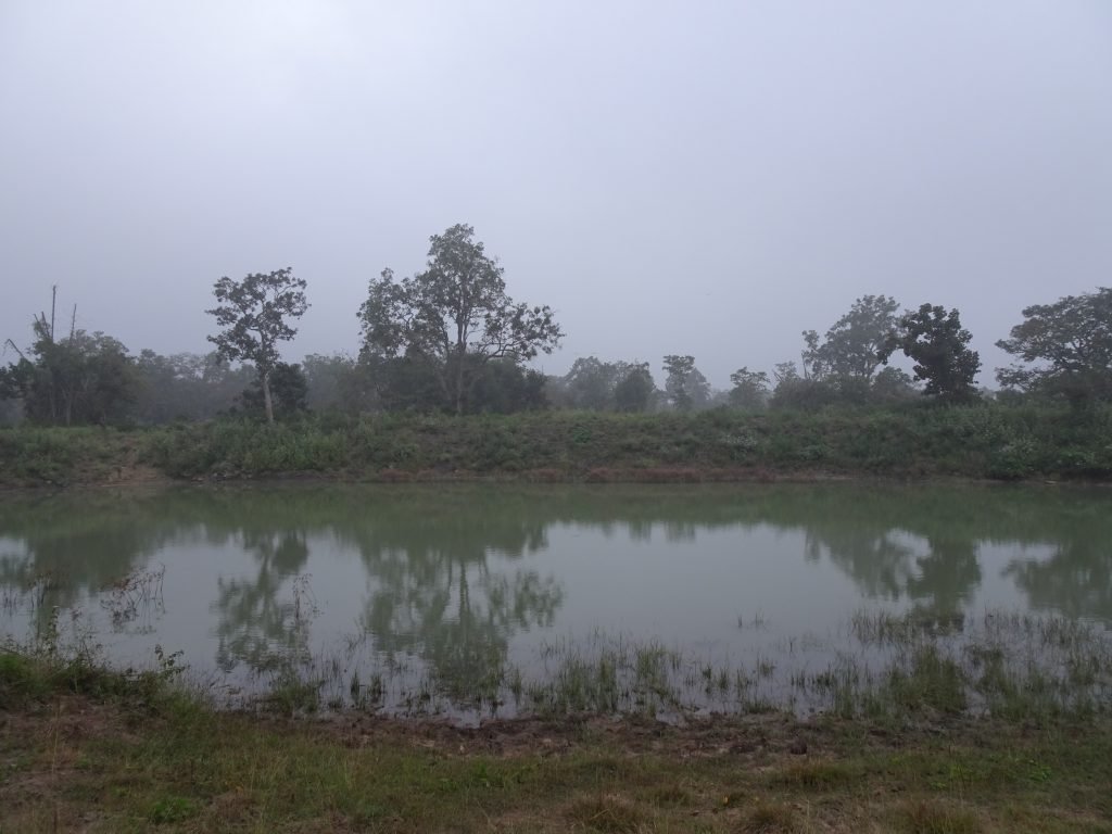 Scenery at Bandipur National Park