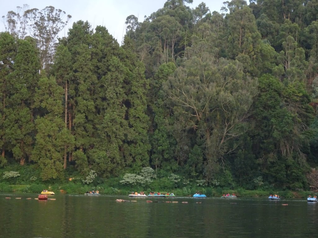 Views from Boating, Ooty