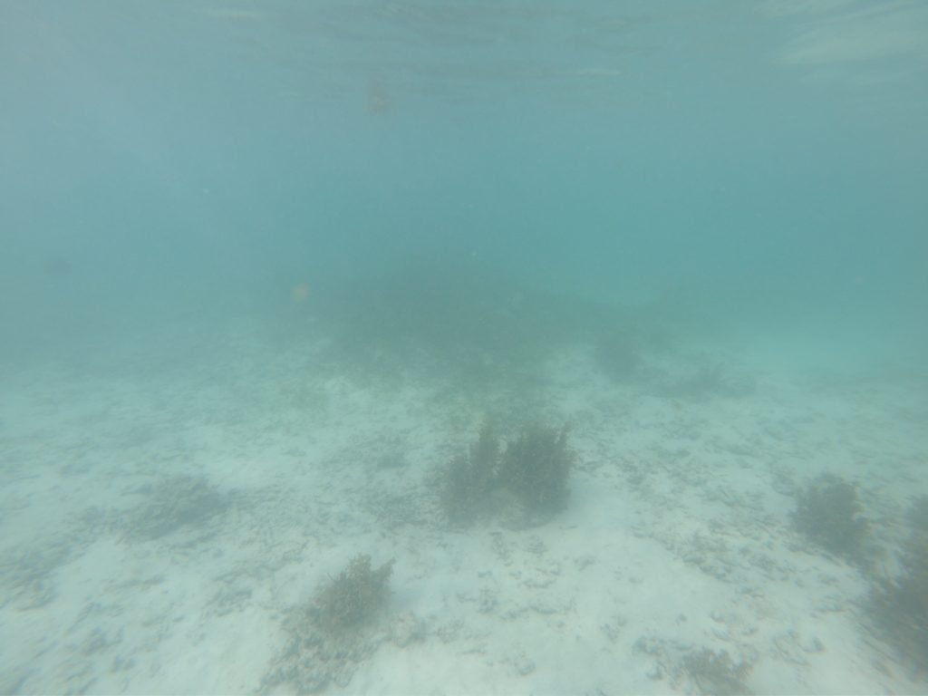 Seychelles visibility in June