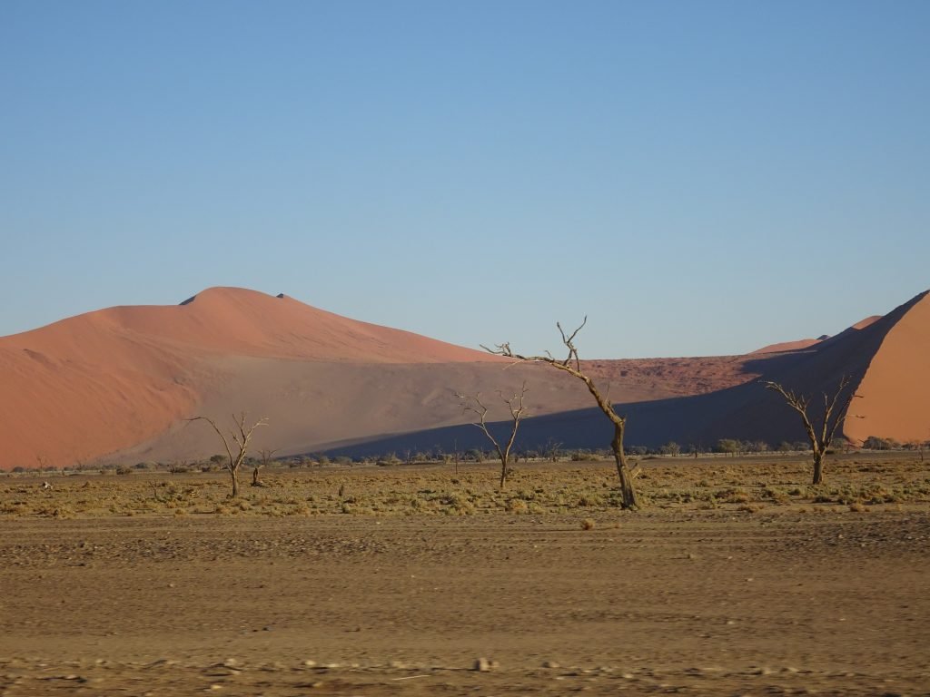 Dune in Sossusvlei