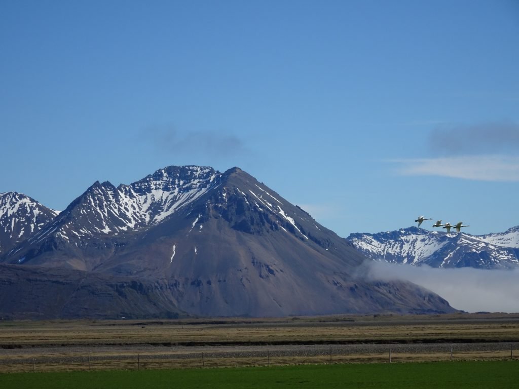 Snow Capped Mountain in Iceland