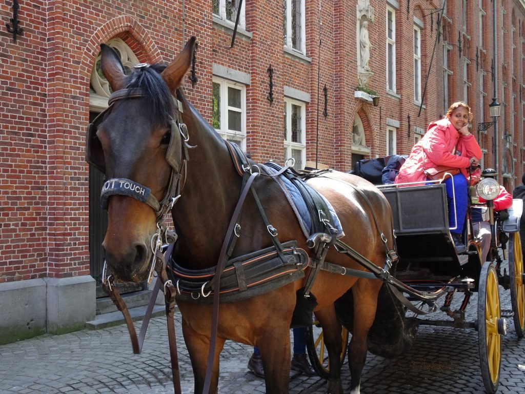 Horse Drawn Carriage Tour in Bruges