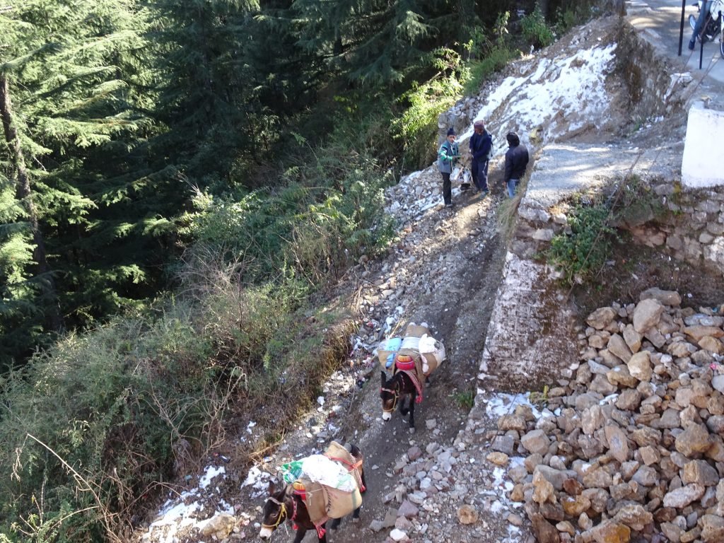 Snow at Lal Tibba