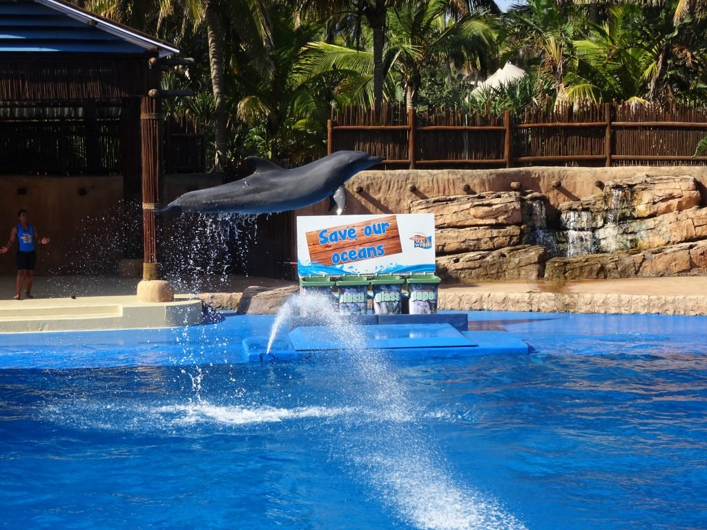 Dolphin Show at Ushaka Marine Park